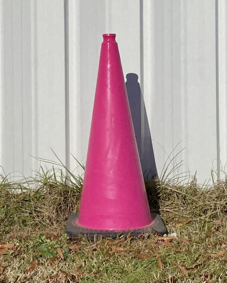 pink-cone-real-traffic-signs